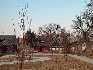 2023 02 05  PEKIN - WANSHOU TEMPLE LONGEVITE BIENVEILLANCE (52)